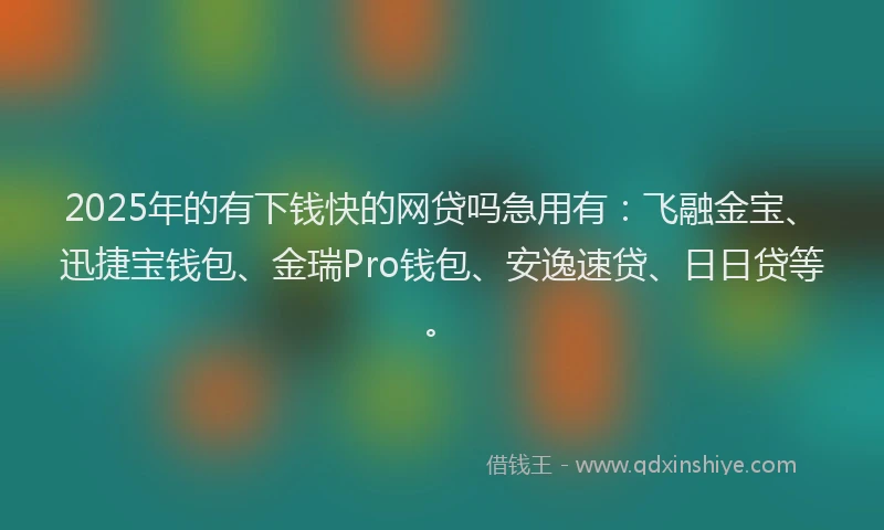 2025年的有下钱快的网贷吗急用有：飞融金宝、迅捷宝钱包、金瑞Pro钱包、安逸速贷、日日贷等。