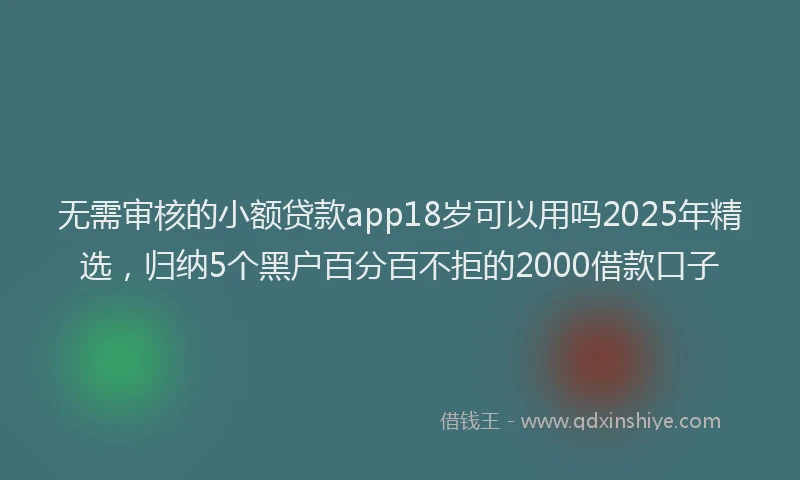 无需审核的小额贷款app18岁可以用吗2025年精选，归纳5个黑户百分百不拒的2000借款口子