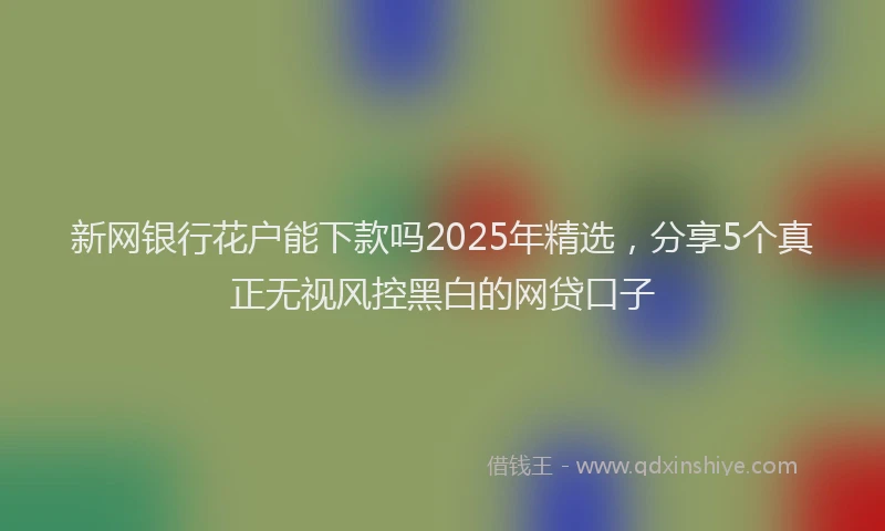 新网银行花户能下款吗2025年精选，分享5个真正无视风控黑白的网贷口子