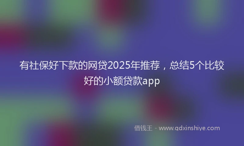 有社保好下款的网贷2025年推荐，总结5个比较好的小额贷款app