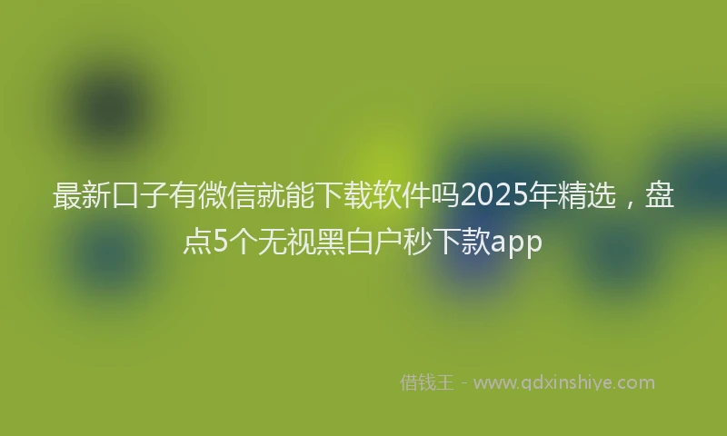 最新口子有微信就能下载软件吗2025年精选，盘点5个无视黑白户秒下款app