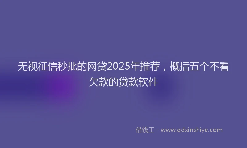 无视征信秒批的网贷2025年推荐，概括五个不看欠款的贷款软件