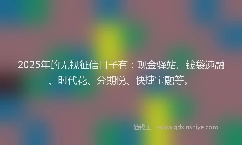 2025年的无视征信口子有：现金驿站、钱袋速融、时代花、分期悦、快捷宝融等。