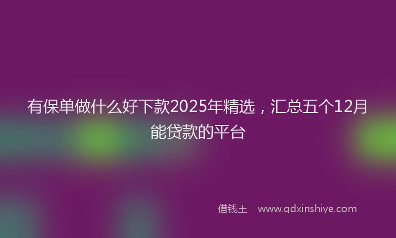 有保单做什么好下款2025年精选，汇总五个12月能贷款的平台