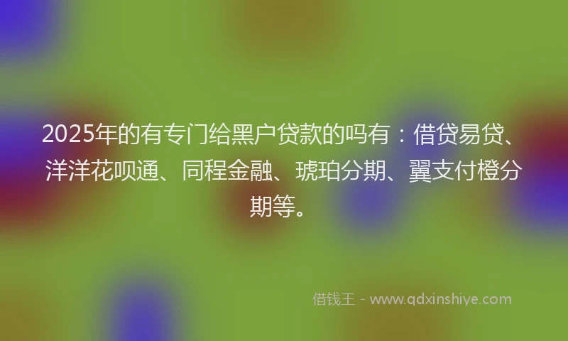 2025年的有专门给黑户贷款的吗有：借贷易贷、洋洋花呗通、同程金融、琥珀分期、翼支付橙分期等。