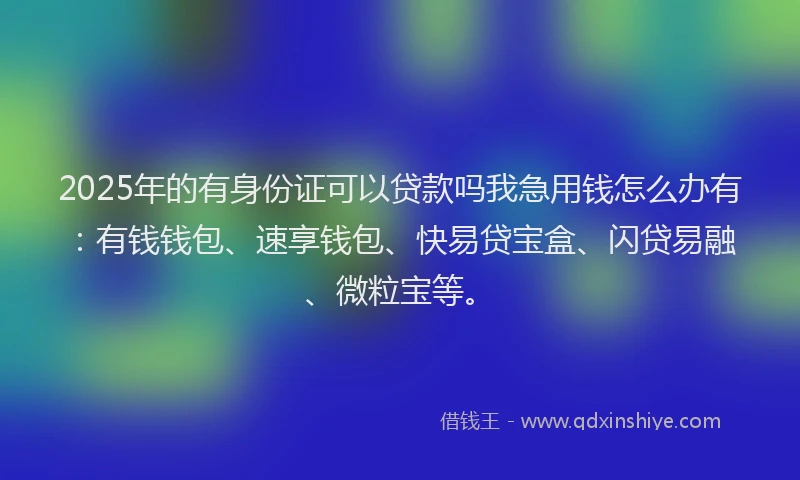 2025年的有身份证可以贷款吗我急用钱怎么办有：有钱钱包、速享钱包、快易贷宝盒、闪贷易融、微粒宝等。