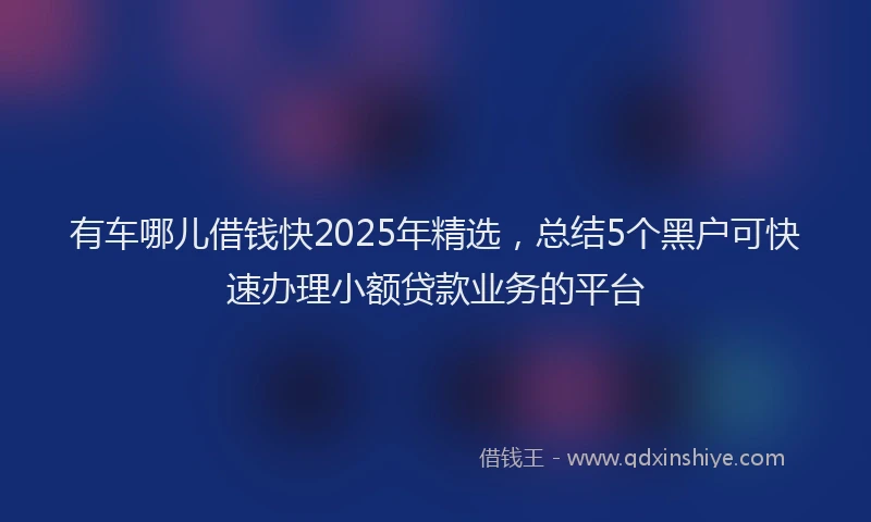 有车哪儿借钱快2025年精选，总结5个黑户可快速办理小额贷款业务的平台