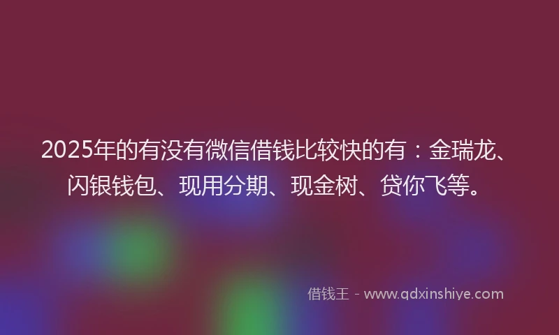 2025年的有没有微信借钱比较快的有：金瑞龙、闪银钱包、现用分期、现金树、贷你飞等。