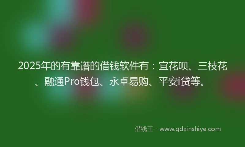 2025年的有靠谱的借钱软件有：宜花呗、三枝花、融通Pro钱包、永卓易购、平安i贷等。