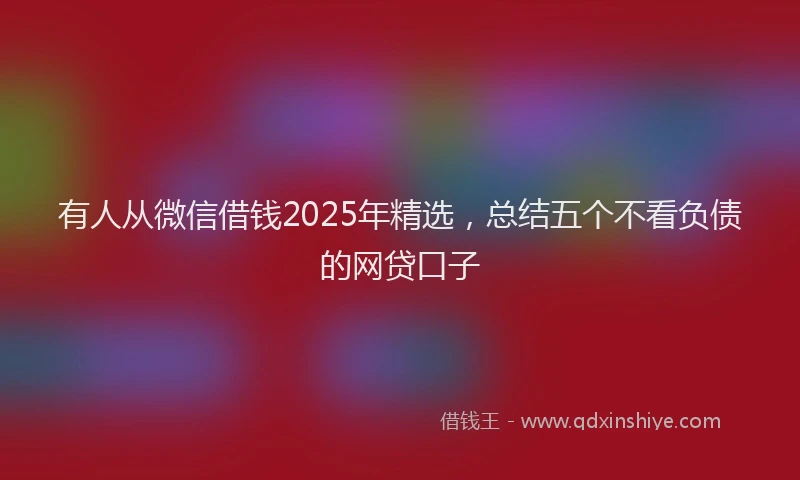 有人从微信借钱2025年精选，总结五个不看负债的网贷口子