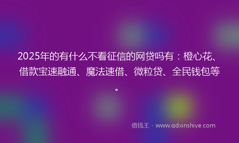 2025年的有什么不看征信的网贷吗有：橙心花、借款宝速融通、魔法速借、微粒贷、全民钱包等。
