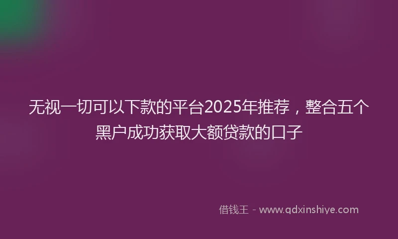 无视一切可以下款的平台2025年推荐，整合五个黑户成功获取大额贷款的口子