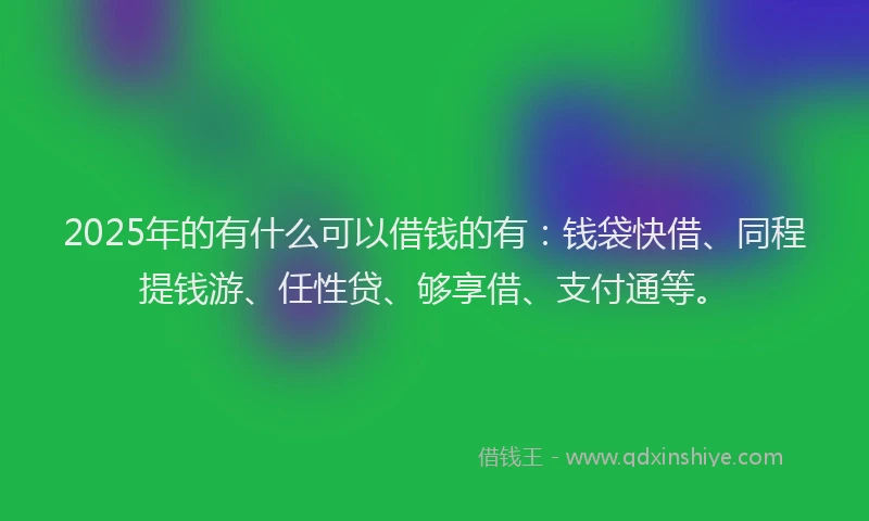 2025年的有什么可以借钱的有：钱袋快借、同程提钱游、任性贷、够享借、支付通等。