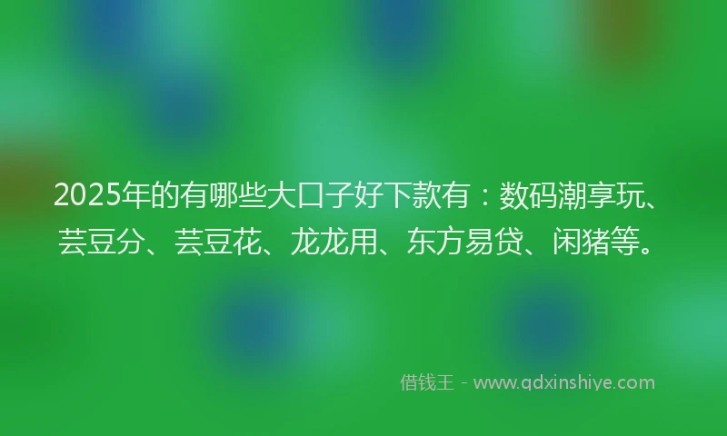 2025年的有哪些大口子好下款有：数码潮享玩、芸豆分、芸豆花、龙龙用、东方易贷、闲猪等。
