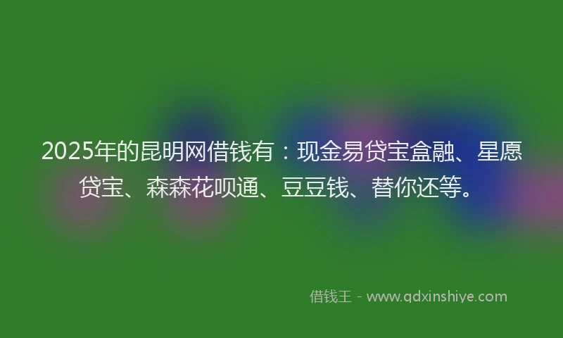 2025年的昆明网借钱有：现金易贷宝盒融、星愿贷宝、森森花呗通、豆豆钱、替你还等。