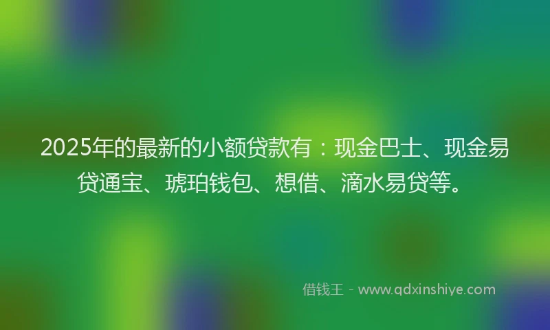 2025年的最新的小额贷款有：现金巴士、现金易贷通宝、琥珀钱包、想借、滴水易贷等。