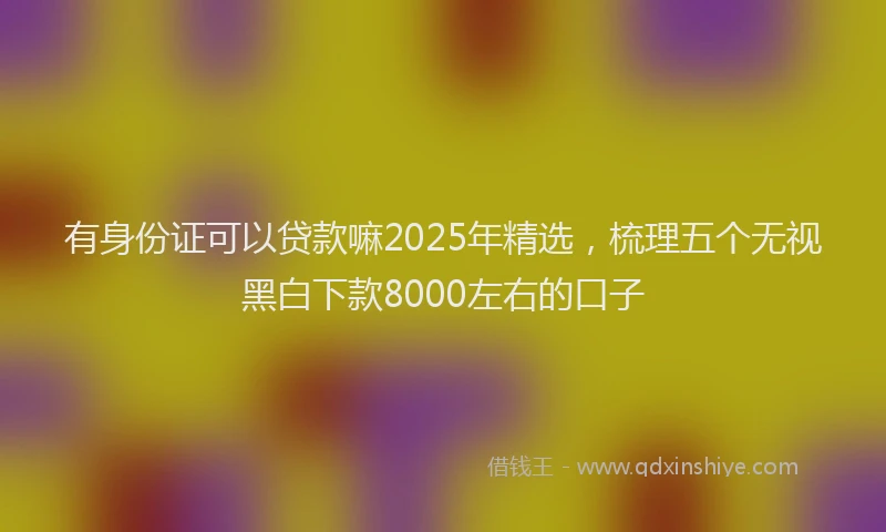 有身份证可以贷款嘛2025年精选，梳理五个无视黑白下款8000左右的口子