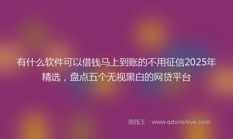 有什么软件可以借钱马上到账的不用征信2025年精选，盘点五个无视黑白的网贷平台