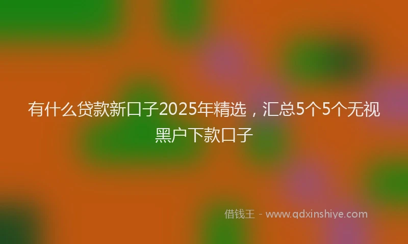 有什么贷款新口子2025年精选，汇总5个5个无视黑户下款口子