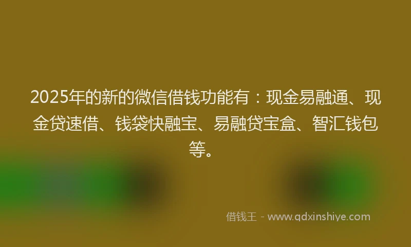 2025年的新的微信借钱功能有：现金易融通、现金贷速借、钱袋快融宝、易融贷宝盒、智汇钱包等。