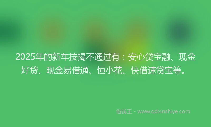2025年的新车按揭不通过有：安心贷宝融、现金好贷、现金易借通、恒小花、快借速贷宝等。