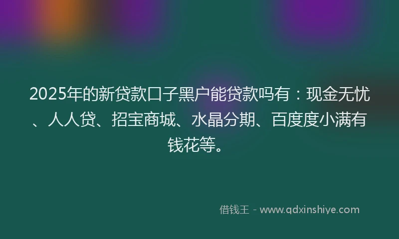 2025年的新贷款口子黑户能贷款吗有：现金无忧、人人贷、招宝商城、水晶分期、百度度小满有钱花等。