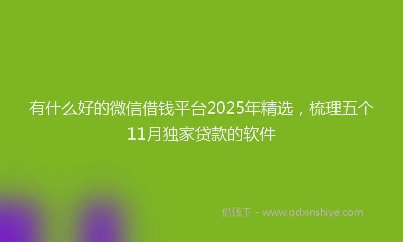 有什么好的微信借钱平台2025年精选，梳理五个11月独家贷款的软件