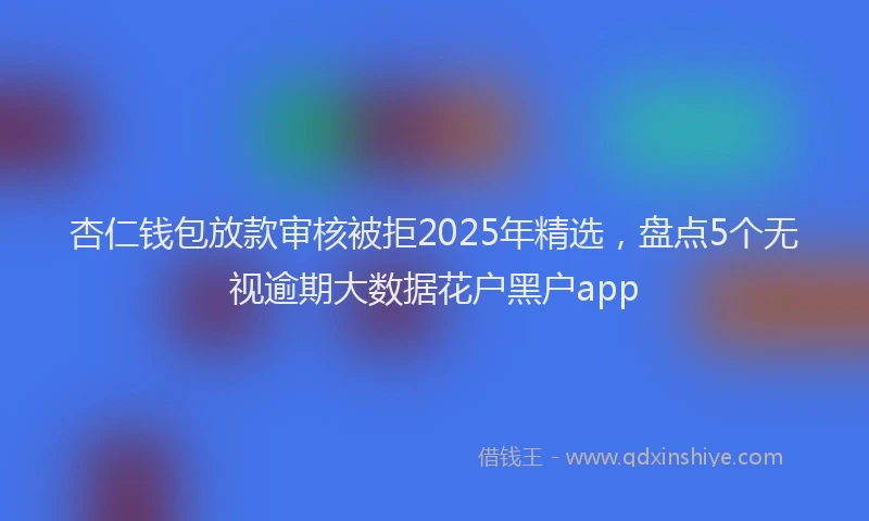 杏仁钱包放款审核被拒2025年精选，盘点5个无视逾期大数据花户黑户app