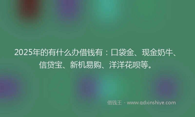 2025年的有什么办借钱有：口袋金、现金奶牛、信贷宝、新机易购、洋洋花呗等。