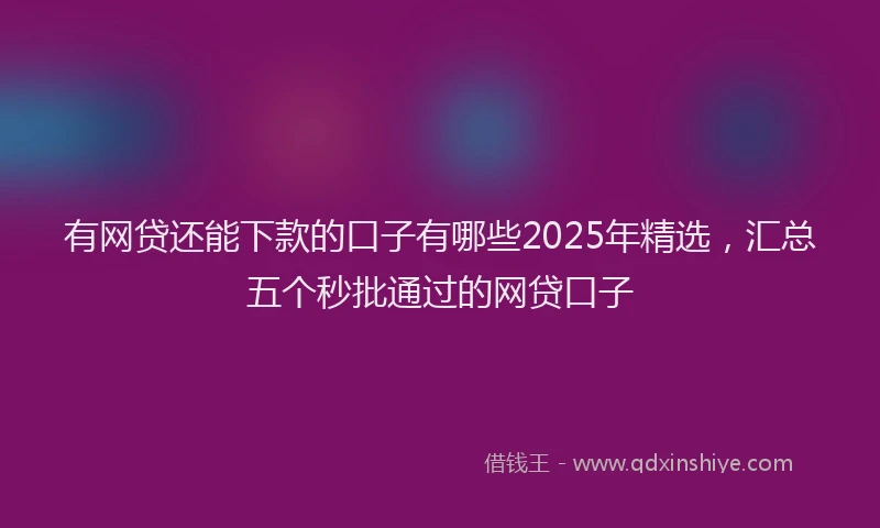 有网贷还能下款的口子有哪些2025年精选，汇总五个秒批通过的网贷口子
