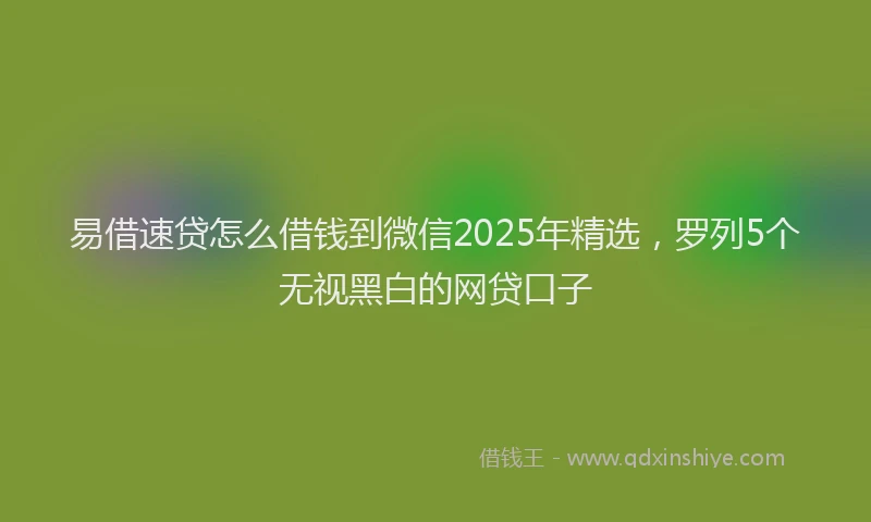 易借速贷怎么借钱到微信2025年精选，罗列5个无视黑白的网贷口子