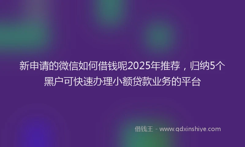 新申请的微信如何借钱呢2025年推荐，归纳5个黑户可快速办理小额贷款业务的平台