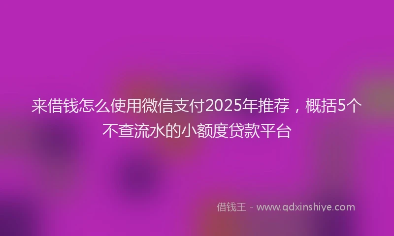 来借钱怎么使用微信支付2025年推荐，概括5个不查流水的小额度贷款平台