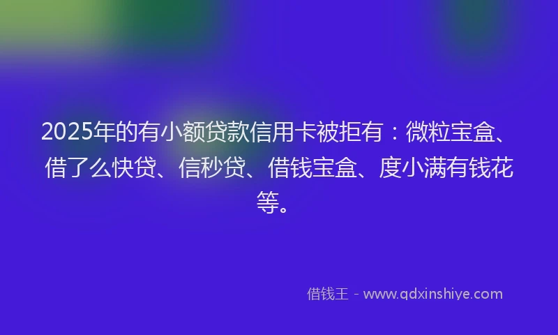 2025年的有小额贷款信用卡被拒有：微粒宝盒、借了么快贷、信秒贷、借钱宝盒、度小满有钱花等。