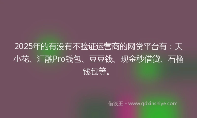 2025年的有没有不验证运营商的网贷平台有：天小花、汇融Pro钱包、豆豆钱、现金秒借贷、石榴钱包等。