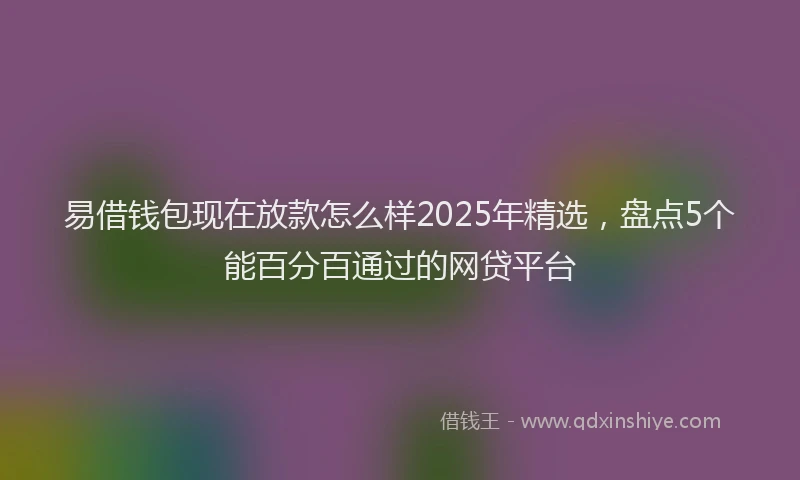 易借钱包现在放款怎么样2025年精选，盘点5个能百分百通过的网贷平台