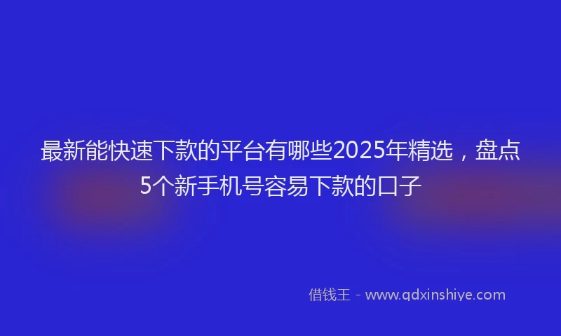 最新能快速下款的平台有哪些2025年精选，盘点5个新手机号容易下款的口子