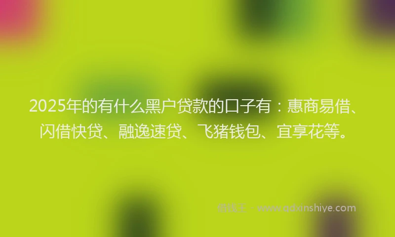 2025年的有什么黑户贷款的口子有：惠商易借、闪借快贷、融逸速贷、飞猪钱包、宜享花等。