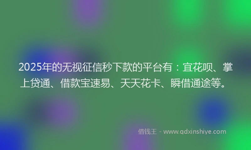 2025年的无视征信秒下款的平台有：宜花呗、掌上贷通、借款宝速易、天天花卡、瞬借通途等。