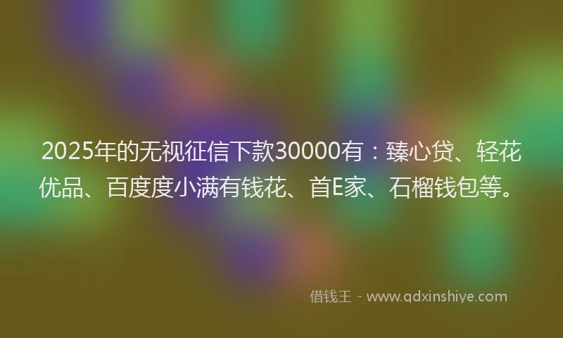 2025年的无视征信下款30000有：臻心贷、轻花优品、百度度小满有钱花、首E家、石榴钱包等。