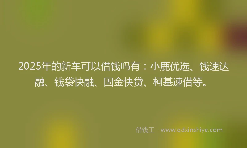 2025年的新车可以借钱吗有：小鹿优选、钱速达融、钱袋快融、固金快贷、柯基速借等。