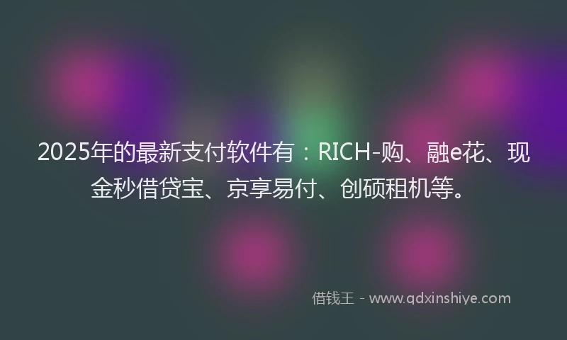 2025年的最新支付软件有：RICH-购、融e花、现金秒借贷宝、京享易付、创硕租机等。