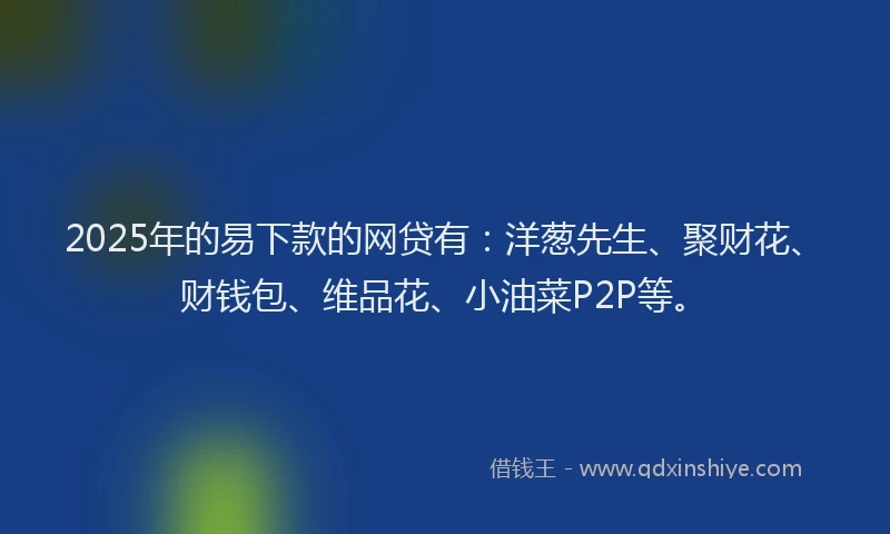 2025年的易下款的网贷有：洋葱先生、聚财花、财钱包、维品花、小油菜P2P等。