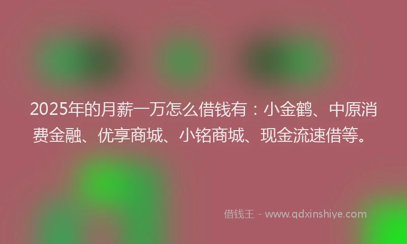 2025年的月薪一万怎么借钱有：小金鹤、中原消费金融、优享商城、小铭商城、现金流速借等。