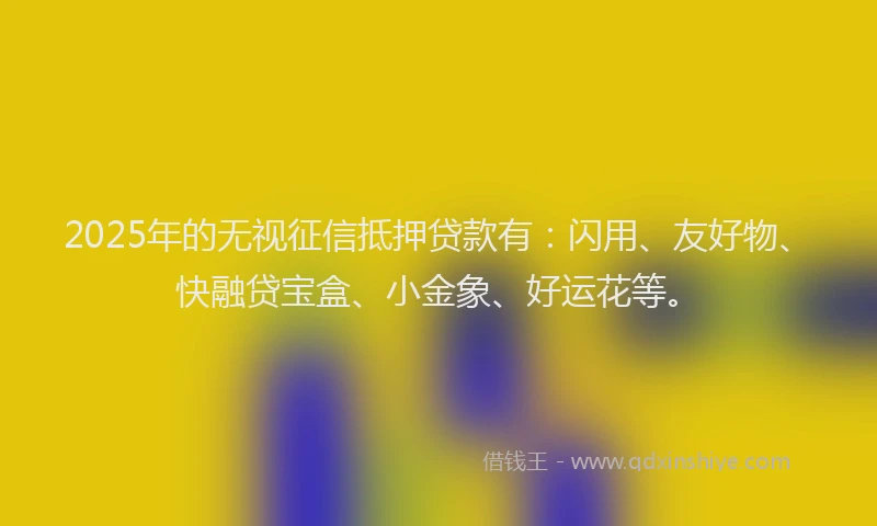 2025年的无视征信抵押贷款有：闪用、友好物、快融贷宝盒、小金象、好运花等。