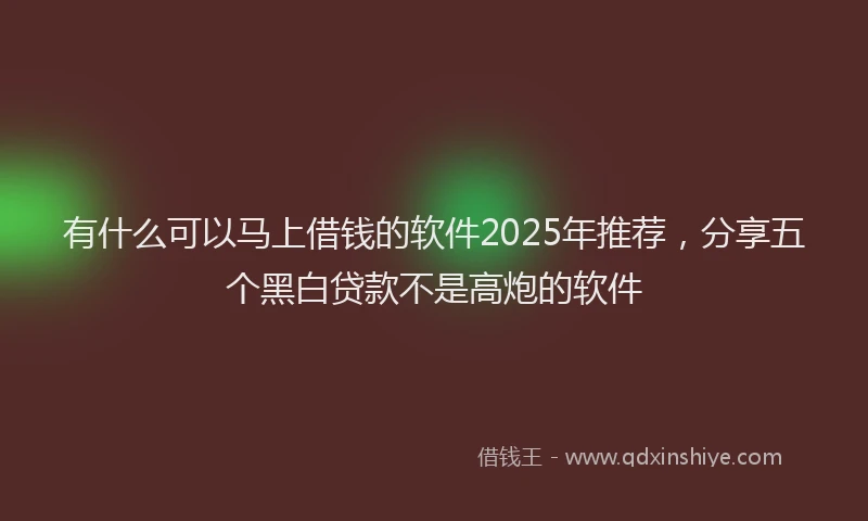 有什么可以马上借钱的软件2025年推荐，分享五个黑白贷款不是高炮的软件