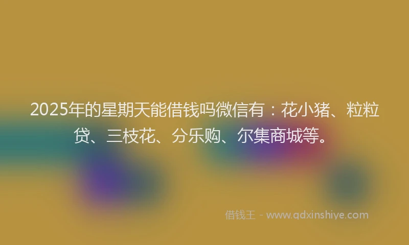 2025年的星期天能借钱吗微信有：花小猪、粒粒贷、三枝花、分乐购、尔集商城等。