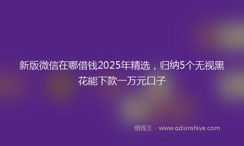 新版微信在哪借钱2025年精选，归纳5个无视黑花能下款一万元口子