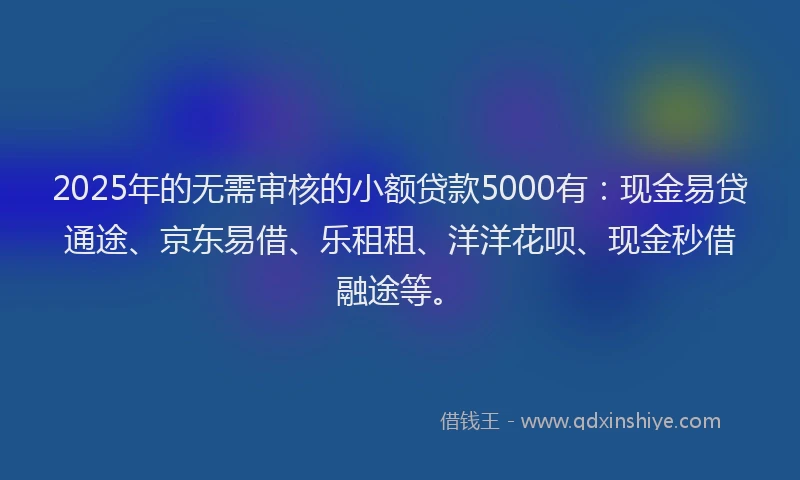 2025年的无需审核的小额贷款5000有：现金易贷通途、京东易借、乐租租、洋洋花呗、现金秒借融途等。