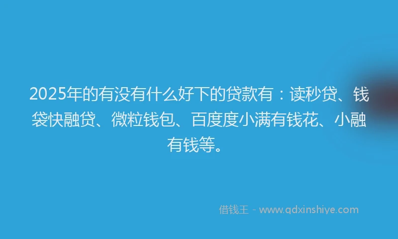 2025年的有没有什么好下的贷款有：读秒贷、钱袋快融贷、微粒钱包、百度度小满有钱花、小融有钱等。